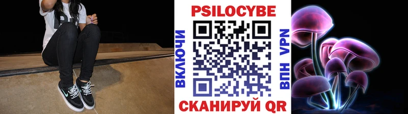 Псилоцибиновые грибы MAGIC MUSHROOMS  даркнет состав  mega ССЫЛКА  Нея  наркота 